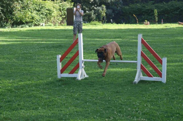 agility 2011-08